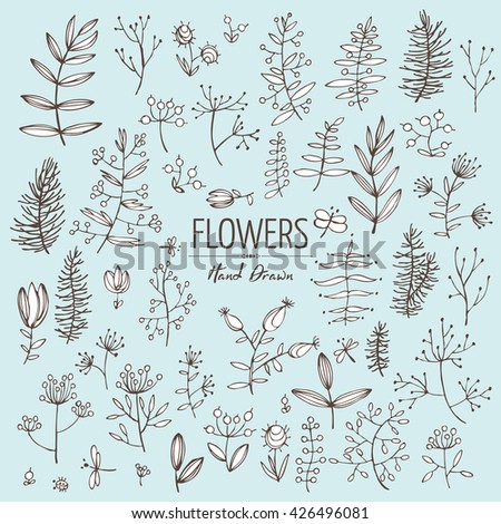 Vector set: floral elements. hand drawn 
