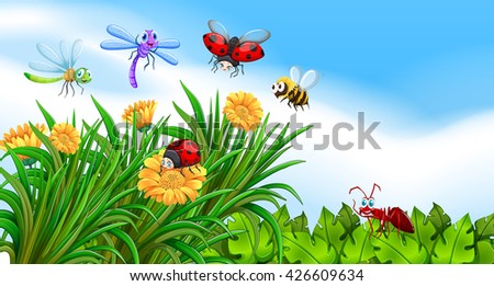 Insects living in the garden illustration