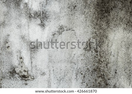 concrete and cement  vintage wall or background , dirty wall, material For design with copy space for text or image.
