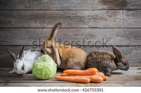 funny rabbits with vegetables on wooden background