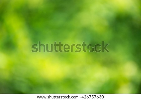 abstract green background bokeh in morning