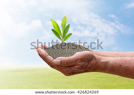 We love the world of ideas, man planted a tree in the hands.Background blur blue sky