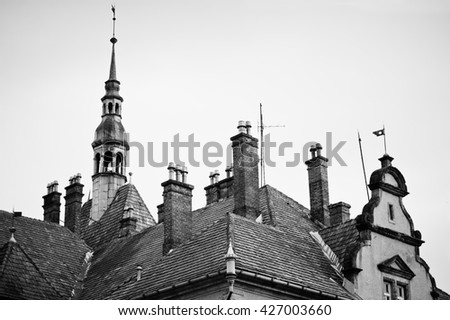 Roof of Schonborn hunting castle in Carpaty,Transcarpathia,Ukraine.  Built in 1890. Black and white