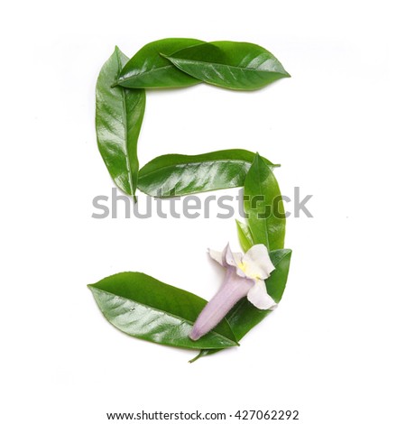 Green Digits. Floral alphabet. Leaves and flowers