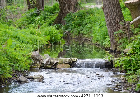 A photo of small river in early spring landscape with yellow flowers