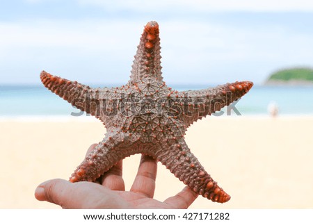 picture of someone holding a starfish with blur the ocean in the background