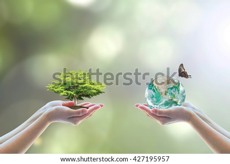 World biodiversity for sustainable ecological environment, and harmony living with nature concept. Element of this image furnished by NASA Royalty-Free Stock Photo #427195957