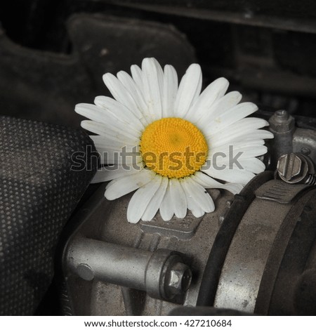 White daisies on a close-up of a car engine