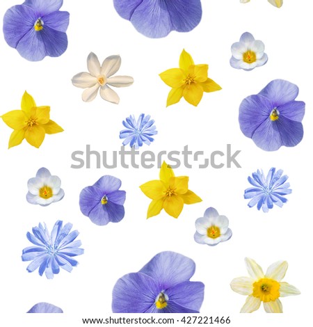 White abstract seamless pattern with motley flowers of pansyes . 