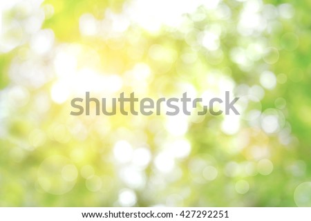 Nature blur greenery leaf bokeh wallpaper. spring and autumn park background; Soft focus light on view leaves flare rays abstract pastel tree foliage forest landscape.