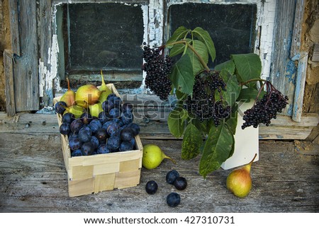 Still life with elderberry, pears and plums against the window of the old house