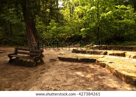 Wood bench in woods Crawford Lake Milton Ontario Royalty-Free Stock Photo #427384261