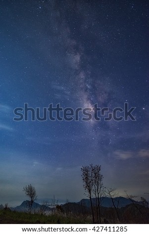 Silhouette of Tree and Milky Way at Phu chi fa National Park,Chiang Rai Thailand.Beautiful landscape a Milky Way background.