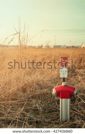 the image of red hydrant