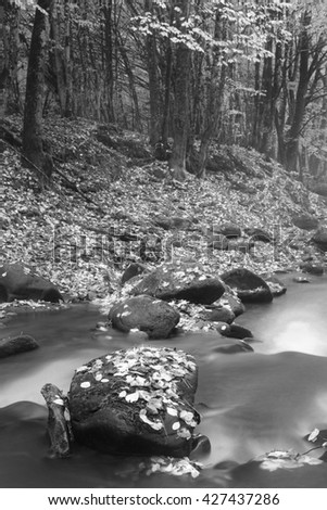 Landscape mountain river in autumn forest. View of the stony rapids. Fast jet of water at slow shutter speeds give a beautiful magic effect. Black and white photo.