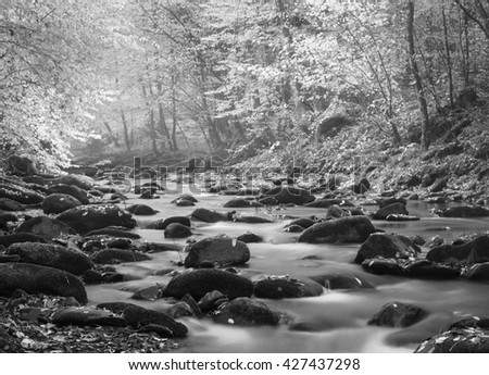 Landscape mountain river in autumn forest. View of the stony rapids. Fast jet of water at slow shutter speeds give a beautiful magic effect. Black and white photo.