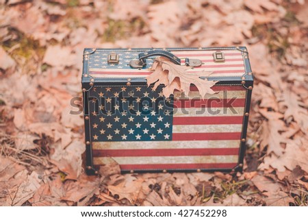 Stylish beautiful vintage suitcase with coloring in the form of the American flag Stars and Stripes stands in the Spring Park on the carpet of last year's oak leaves