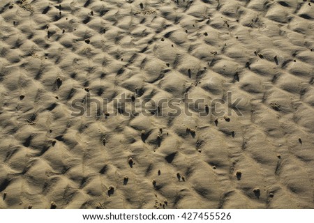 pattern on the sands