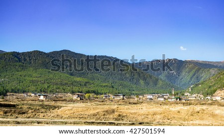 the yellow grass field with rocks and green trees mountain in high level the white and blue sky on background.