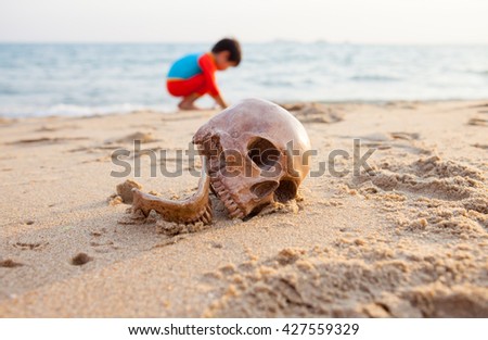 Still Life ,Human Skull on the Sand Beach