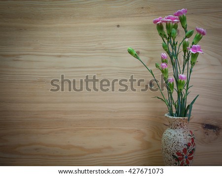 Close up , Pink carnation flowers . (picture with space for text)