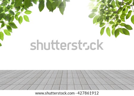 Fresh spring green leaves with  concrete
 floor isolated