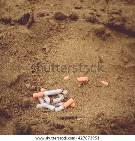 buried cigarette in the soil.