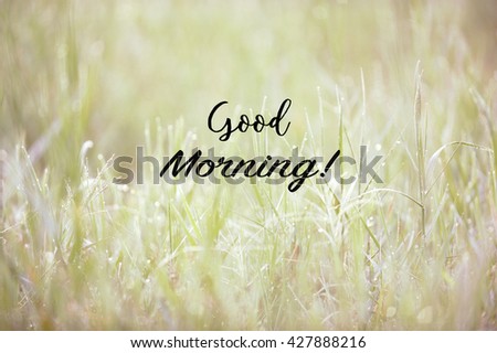 Inspirational life quote with phrase "good morning" with grass background retro style.
