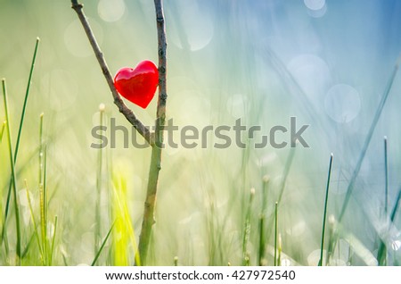 Red heart in nature with wonderful morning drops background and beautiful light. Original wallpaper or postcard for wedding or valentine day, with space for quote.