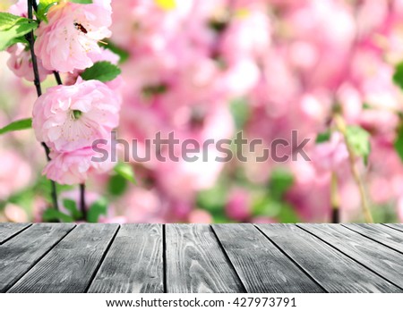 Empty wooden table and  blurred blooming tree on background