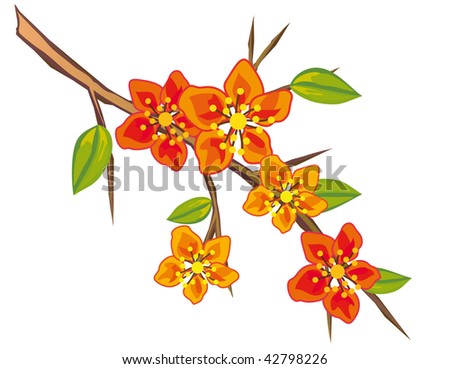 The branch of a tree with red flowers. Vector illustration