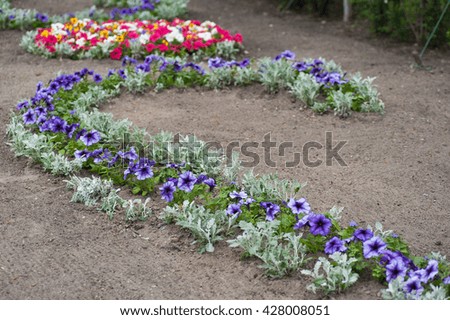 Scenic View of Colourful Flowerbeds in summer park