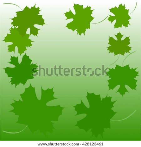 Vector illustration of Green maple leaves.