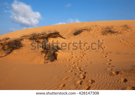 Desert sand dunes with a bright blue sky