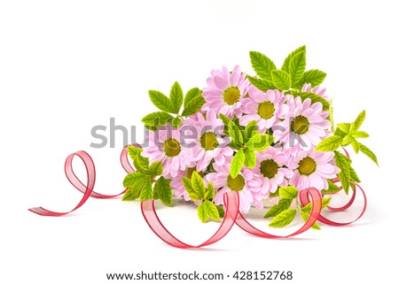 Beautiful pink spring flowers isolated on white background