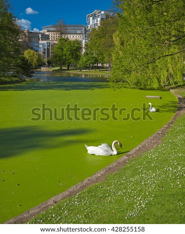 Park with swans on the lake in Brussels