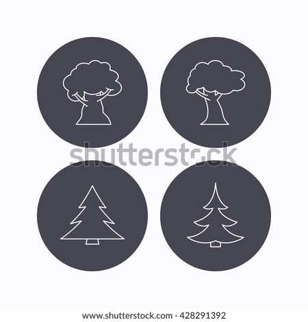 Tree, oak-tree and christmas tree icons. Forest trees linear signs. Flat icons in circle buttons on white background. Vector