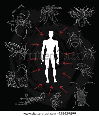 Poster with human silhouette and dangerous insects or parasites. House fly, spider, cockroach, flea, bed bugs and poisonous caterpillars. Doodle line art illustration and graphic sketch