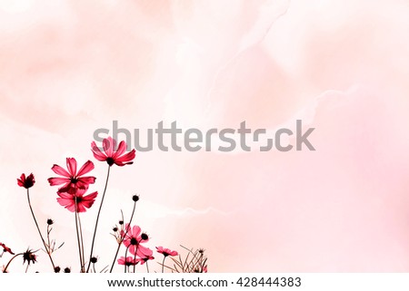 Petal of flowers soft blur in pastel colors for background