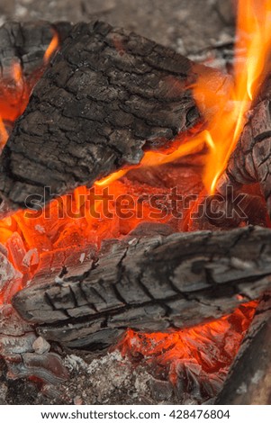 the coals of a campfire in the forest closeup