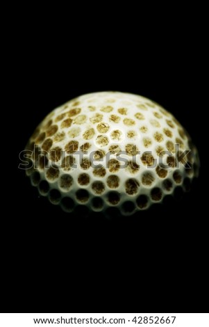 golf ball against dark background
