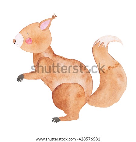 Squirrel Woodland Animal Side view Watercolor hand-painted Illustration Isolated on the white