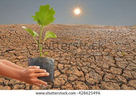 Save the earth by plant growing
