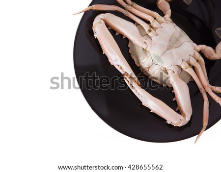 fresh crab on a black plate isolated on white background