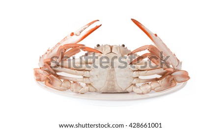 cooked crab prepared isolated on white background