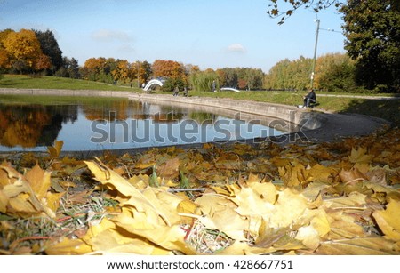 man in fishing at autumn