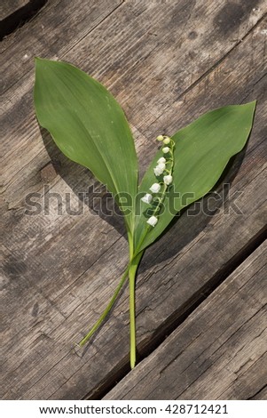 Forest bouquet of spring flowers on a wooden background