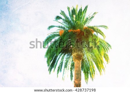 single palm trees on blue sky, retro toned and textured