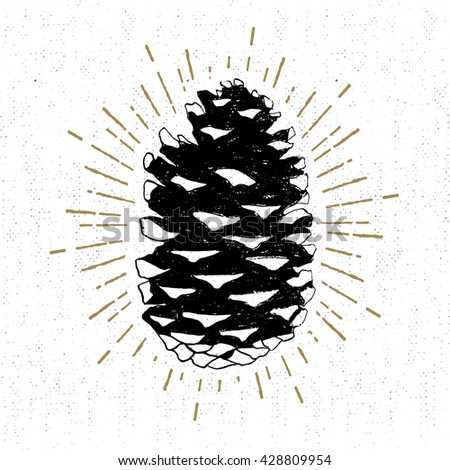 Hand drawn icon with a textured fir cone vector illustration.