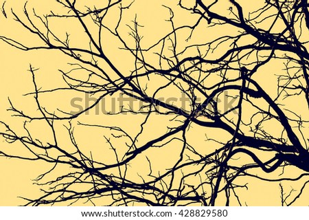 branches silhouette background